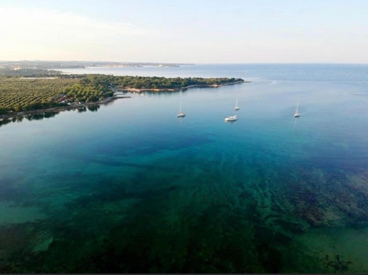 Apartments Vojvoda Poreč Zewnętrze zdjęcie